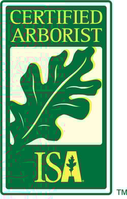 ICA-400