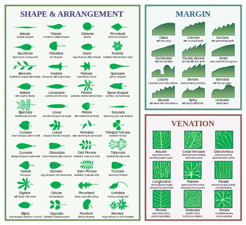 CC image courtesy wikimedia.org