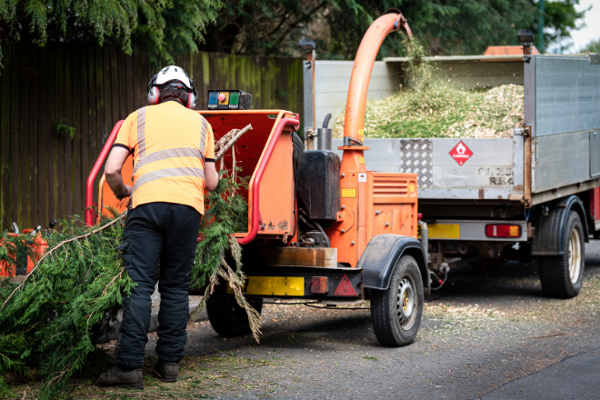 STL Tree Professionals (1)