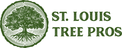 St.-Louis-Tree-Horizontal-Version
