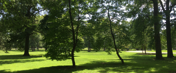 Tree-Pruning