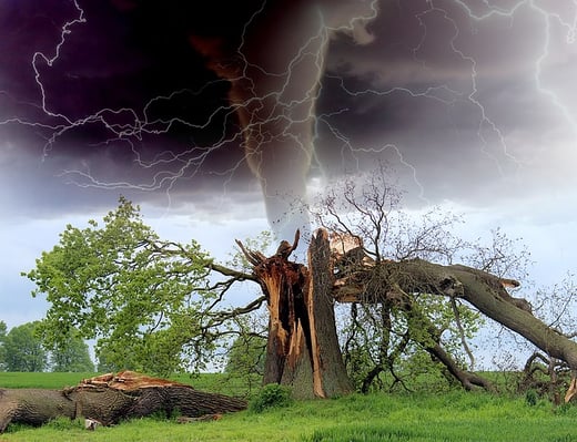 Tornadoes are dangerous to life and property. Be prepared with a plan to stay safe. Call St. Louis Tree Pros if you need emergency tree service for downed trees. 314-312-1331.
