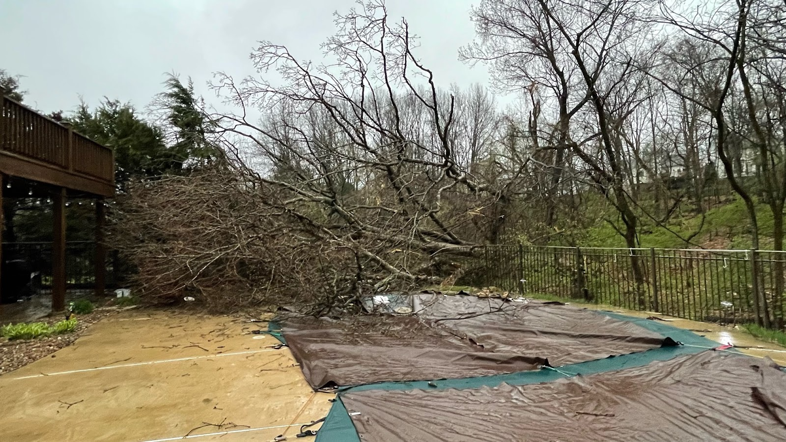 A view of several trees that have fallen into a backyard causing damage to pool and fencing.